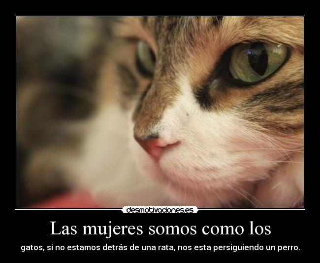 carteles kathisa desmotivaciones