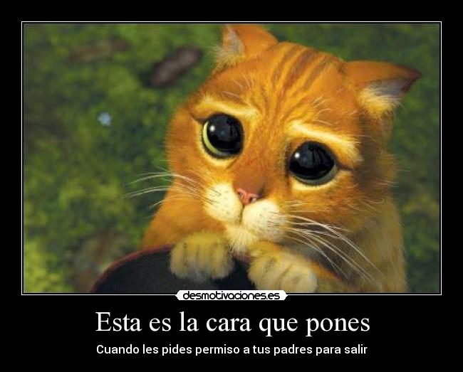 Esta es la cara que pones - 