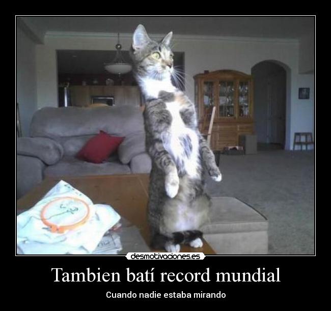 Tambien batí record mundial - Cuando nadie estaba mirando