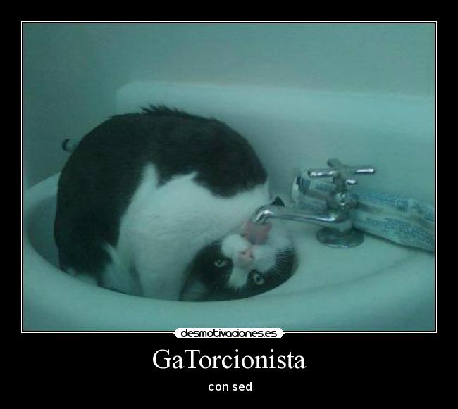 GaTorcionista - con sed