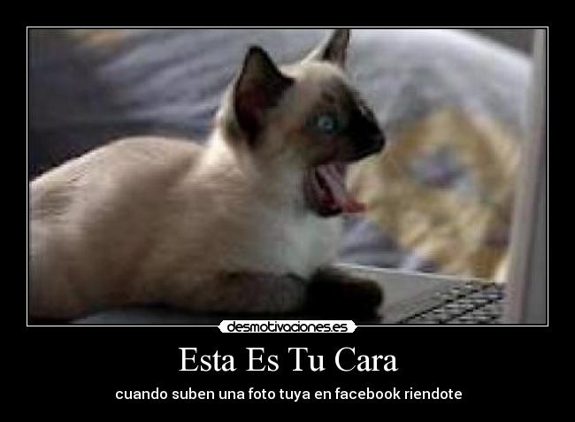 Esta Es Tu Cara - 