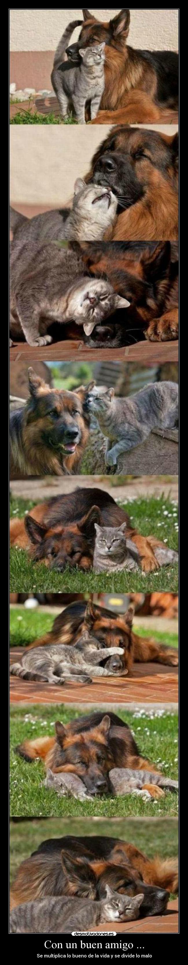 carteles karlos desmotivaciones