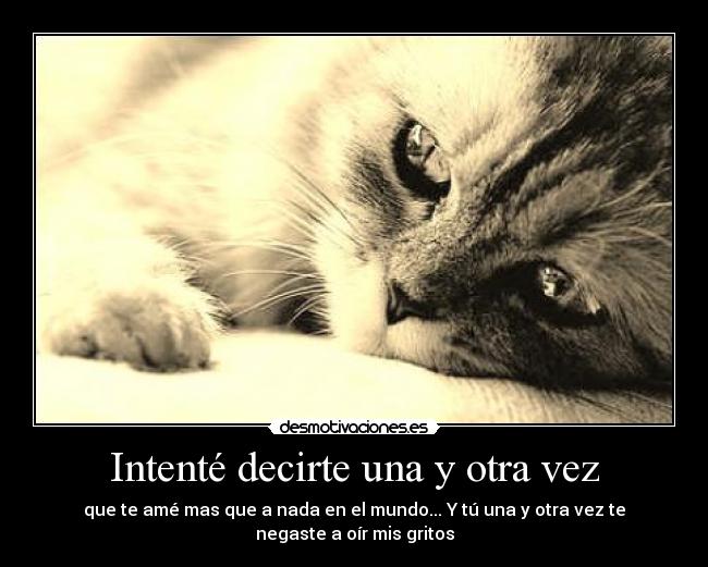 Intenté decirte una y otra vez - que te amé mas que a nada en el mundo... Y tú una y otra vez te
negaste a oír mis gritos