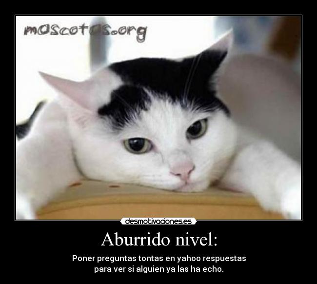Aburrido nivel: - Poner preguntas tontas en yahoo respuestas
para ver si alguien ya las ha echo.
