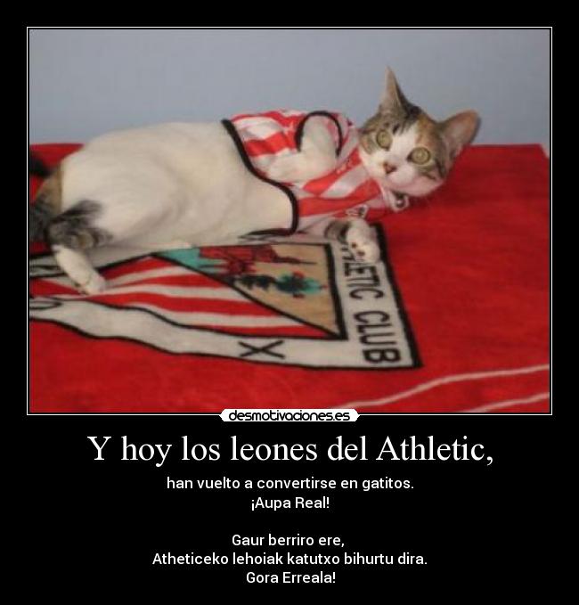 Y hoy los leones del Athletic, - han vuelto a convertirse en gatitos.
¡Aupa Real!

Gaur berriro ere, 
Atheticeko lehoiak katutxo bihurtu dira.
Gora Erreala!