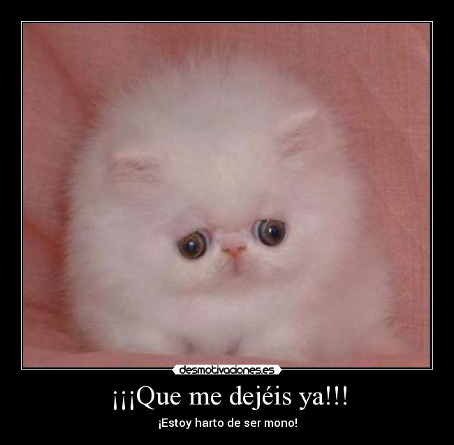 ¡¡¡Que me dejéis ya!!! -