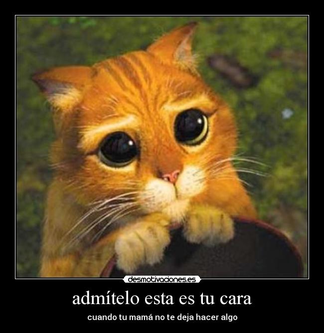 carteles hermanos desmotivaciones