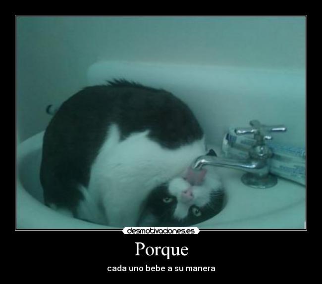 Porque -