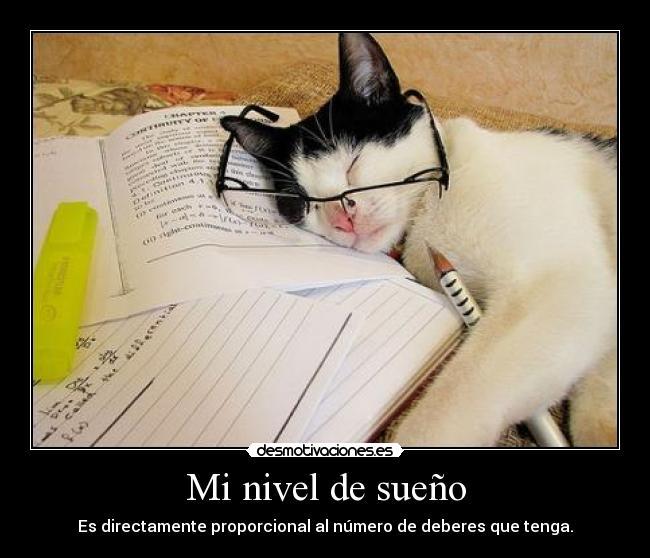 Mi nivel de sueño -