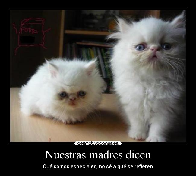 Nuestras madres dicen -