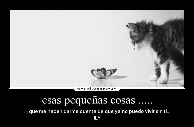 esas pequeñas cosas ..... - ... que me hacen darme cuenta de que ya no puedo vivir sin ti...
ILY