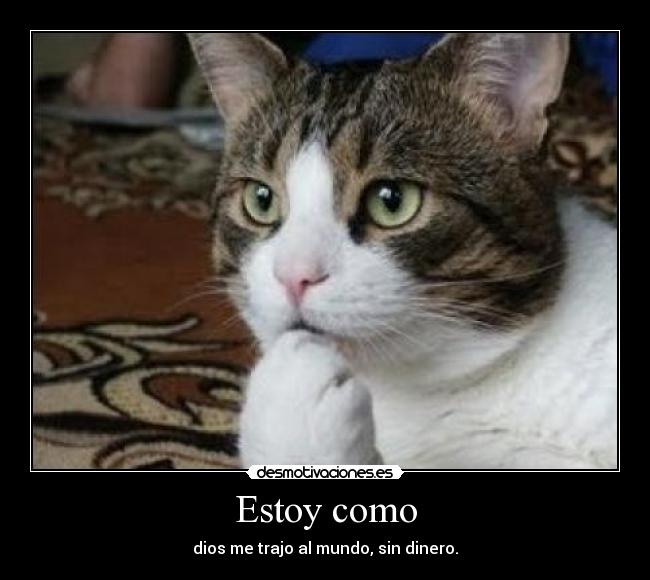 Estoy como - dios me trajo al mundo, sin dinero.