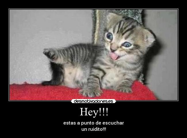 Hey!!! - 