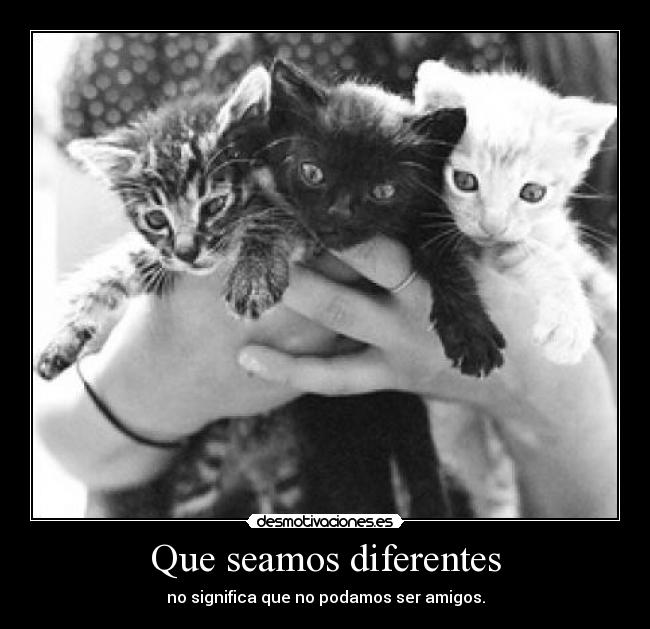Que seamos diferentes -