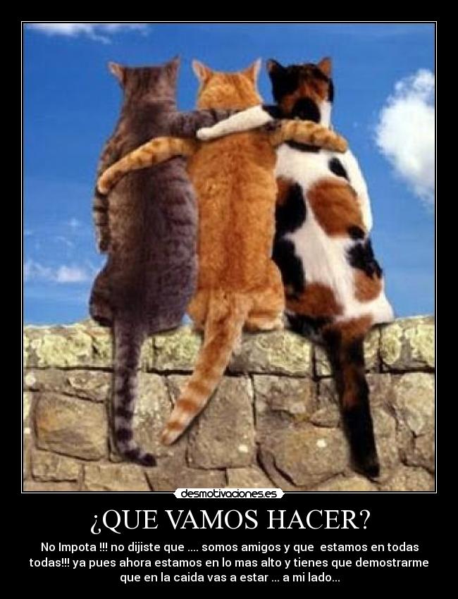 ¿QUE VAMOS HACER? - 