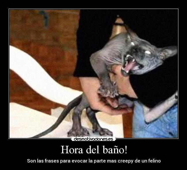 Hora del baño! - 