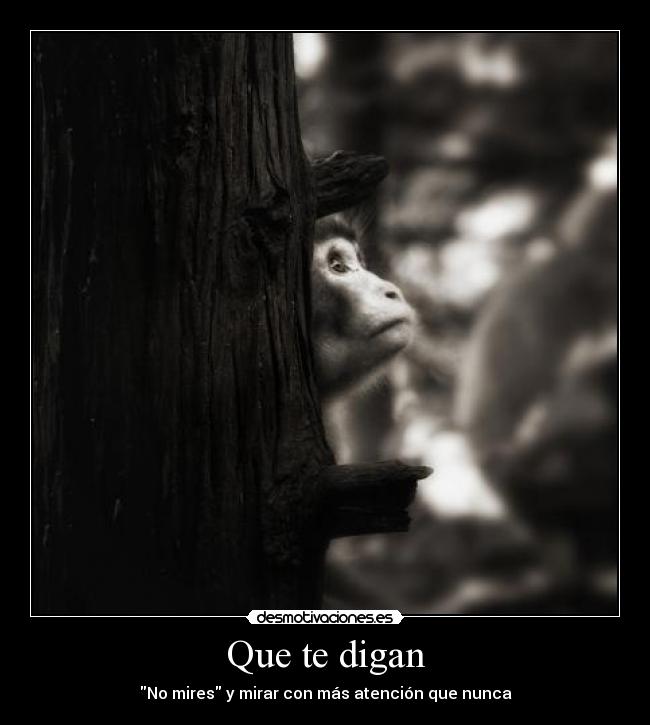 Que te digan - No mires y mirar con más atención que nunca