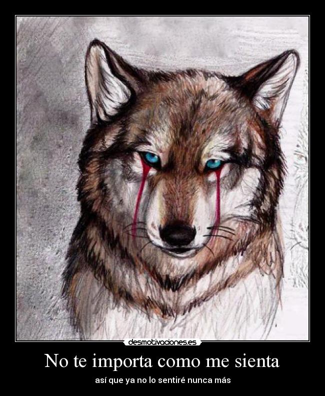 carteles imperiodesplazado clandesplazado desmotivado15 clandalfe15 atwa system down soad desmotivaciones