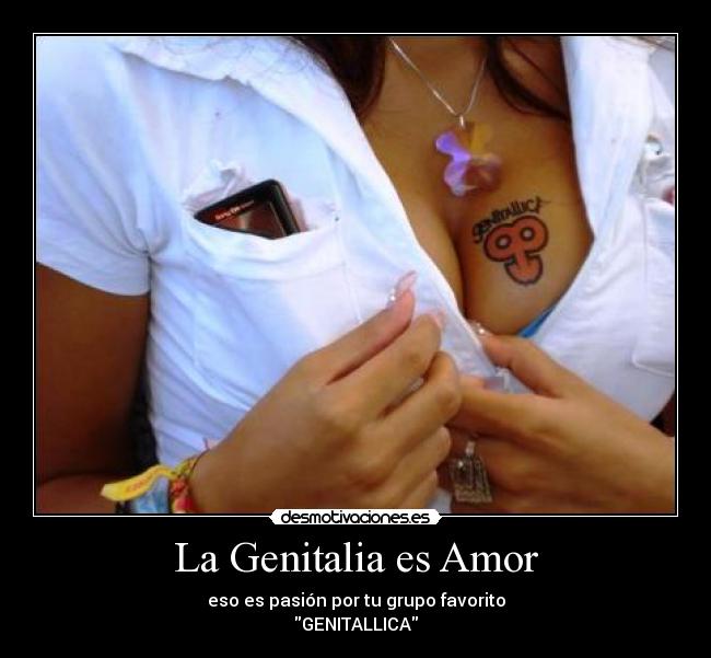 carteles amor genitalia genitallica amor desmotivaciones