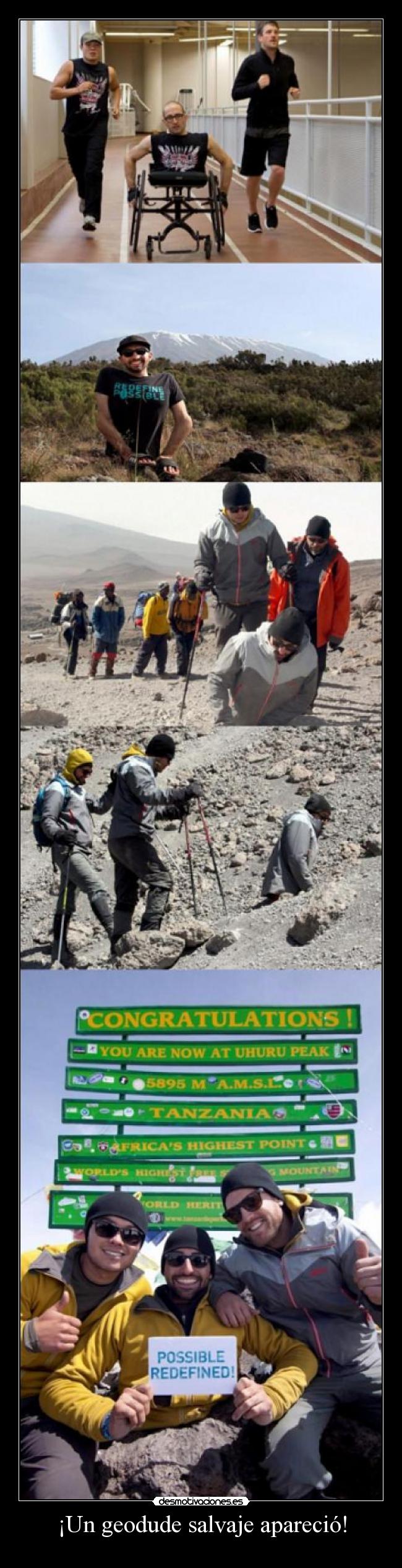 ¡Un geodude salvaje apareció! - 