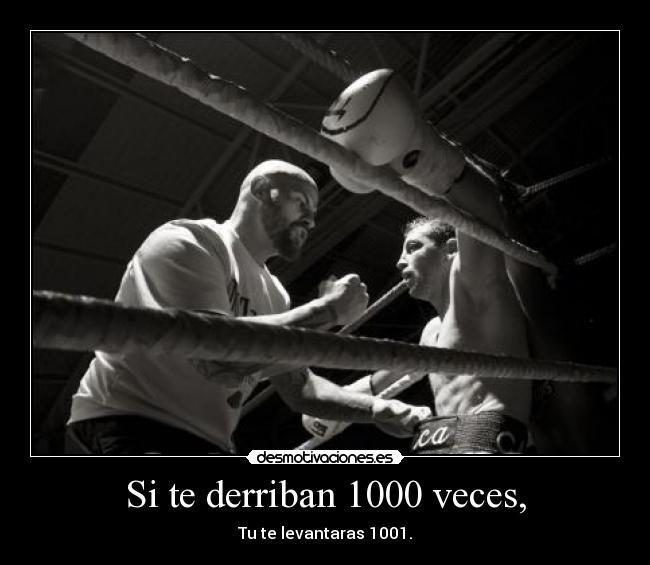 carteles asi desmotivaciones