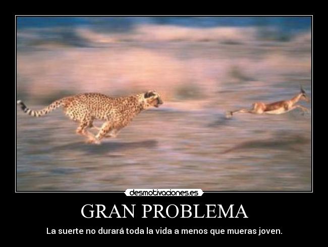 carteles trouble desmotivaciones