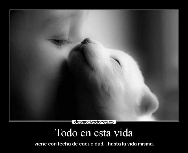 carteles vida vida desmotivaciones