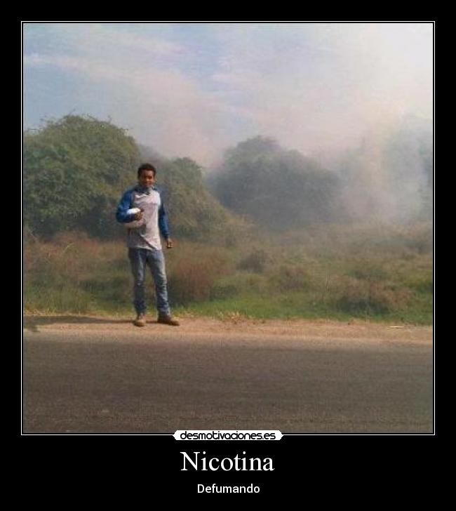 carteles nico desmotivaciones