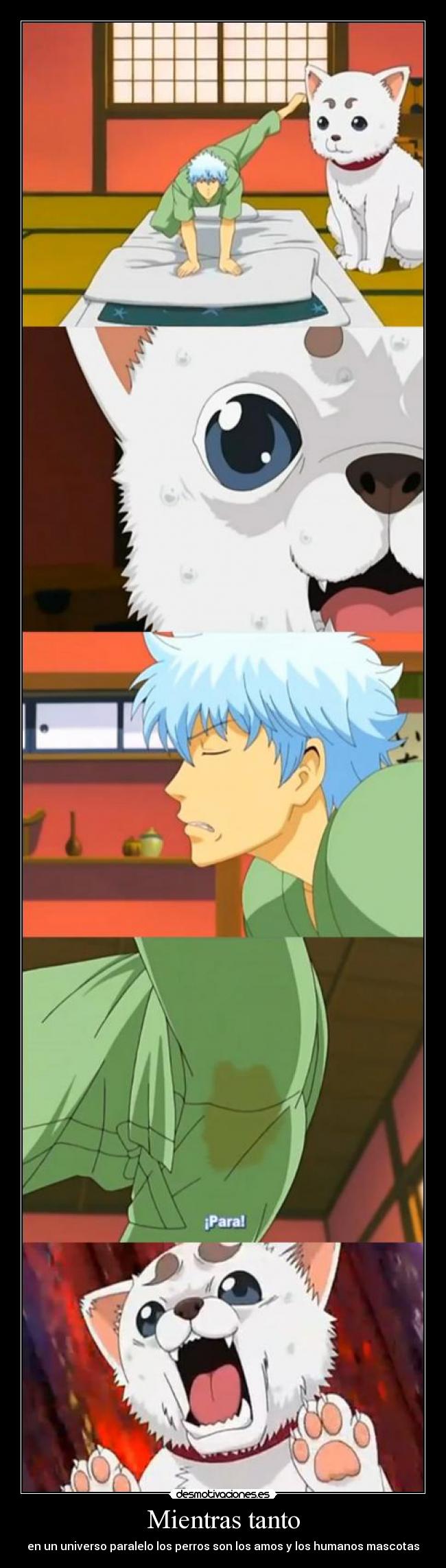 Mientras tanto - en un universo paralelo los perros son los amos y los humanos mascotas