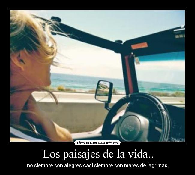 Los paisajes de la vida.. -