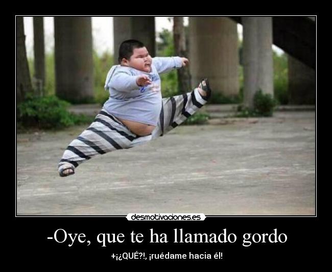 -Oye, que te ha llamado gordo -