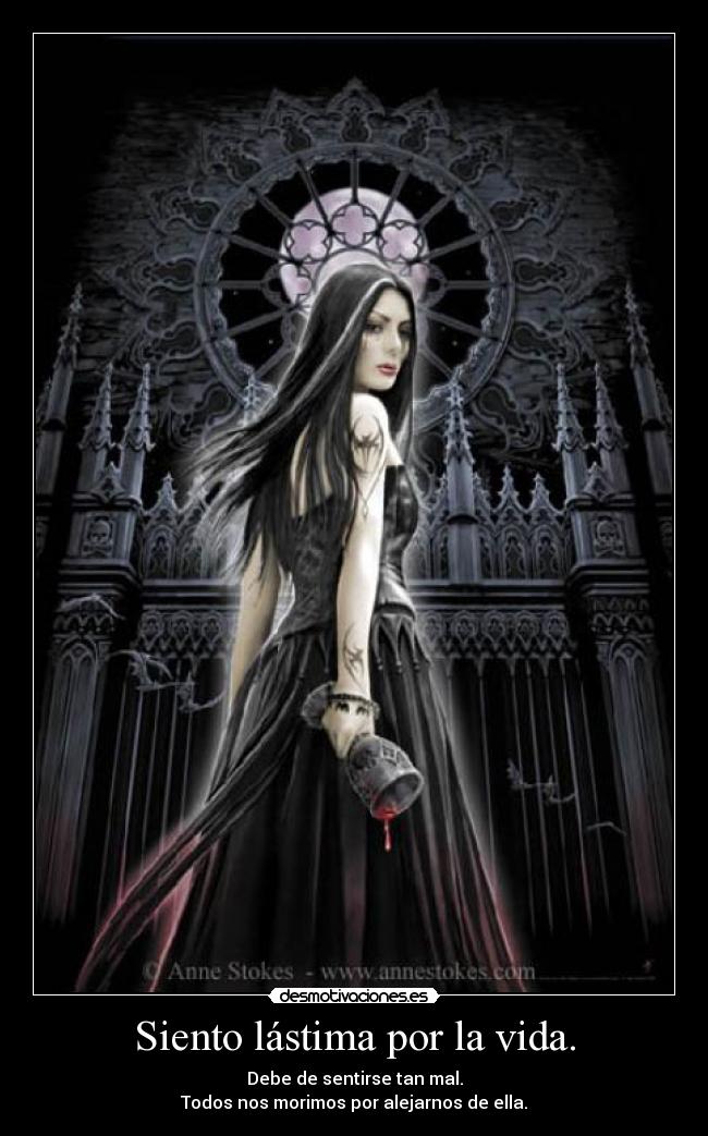 carteles vida miau09 desmotivaciones