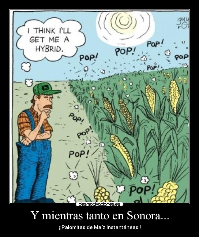 carteles jucabao desmotivaciones