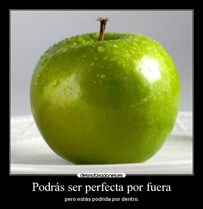 carteles podras estar perfecta por fuera desmotivaciones