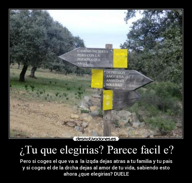 ¿Tu que elegirias? Parece facil e? - Pero si coges el que va a  la izqda dejas atras a tu familia y tu pais
y si coges el de la drcha dejas al amor de tu vida, sabiendo esto
ahora ¿que elegirias? DUELE