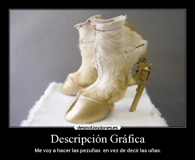 Descripción Gráfica -