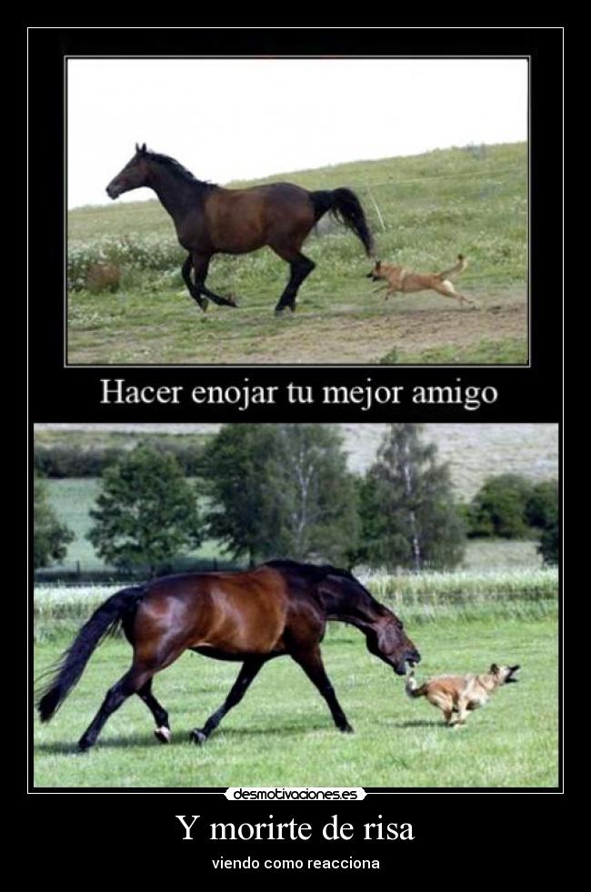 carteles risa hacer enojar mejor amigo desmotivaciones