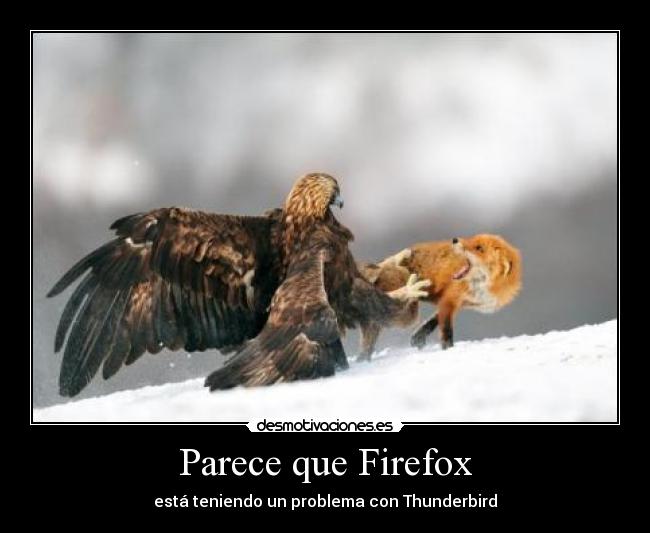 Parece que Firefox - está teniendo un problema con Thunderbird