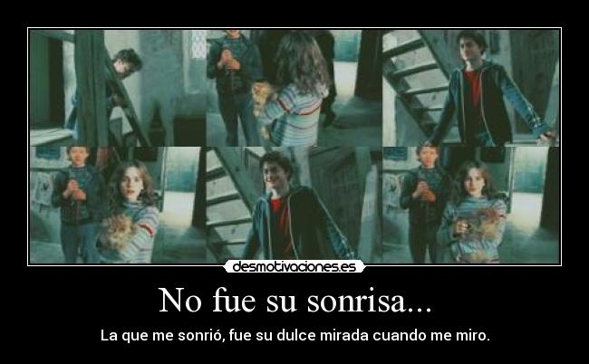 No fue su sonrisa... -