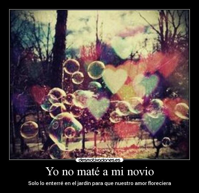 Yo no maté a mi novio - 