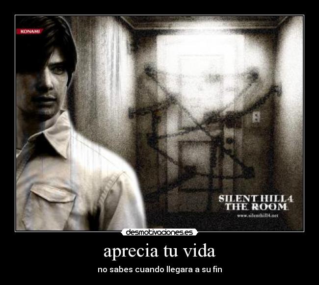 carteles vida aprecia vida desmotivaciones