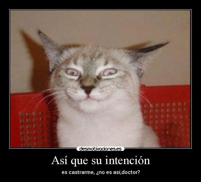 Así que su intención - es castrarme, ¿no es así,doctor?