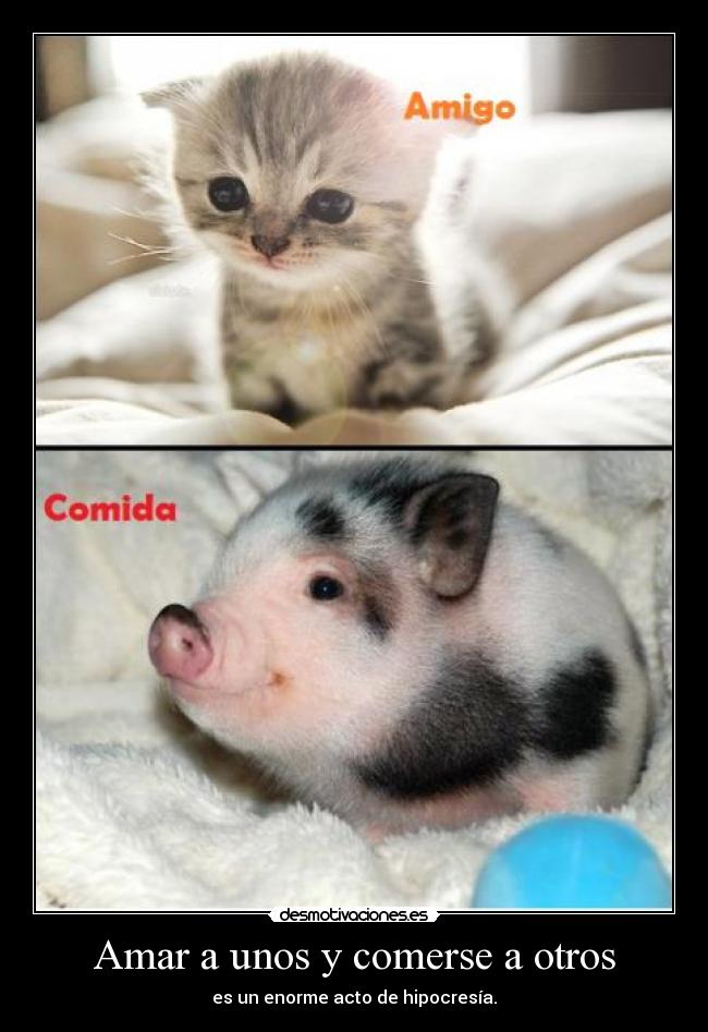 carteles hipocresia desmotivaciones