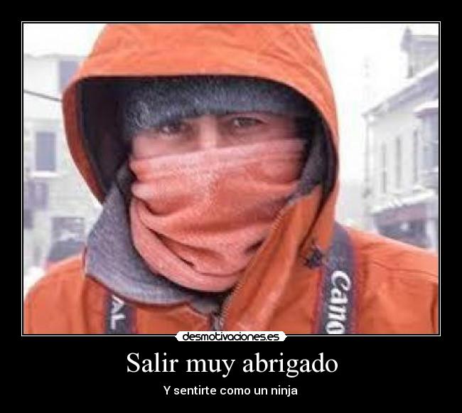carteles ninja desmotivaciones