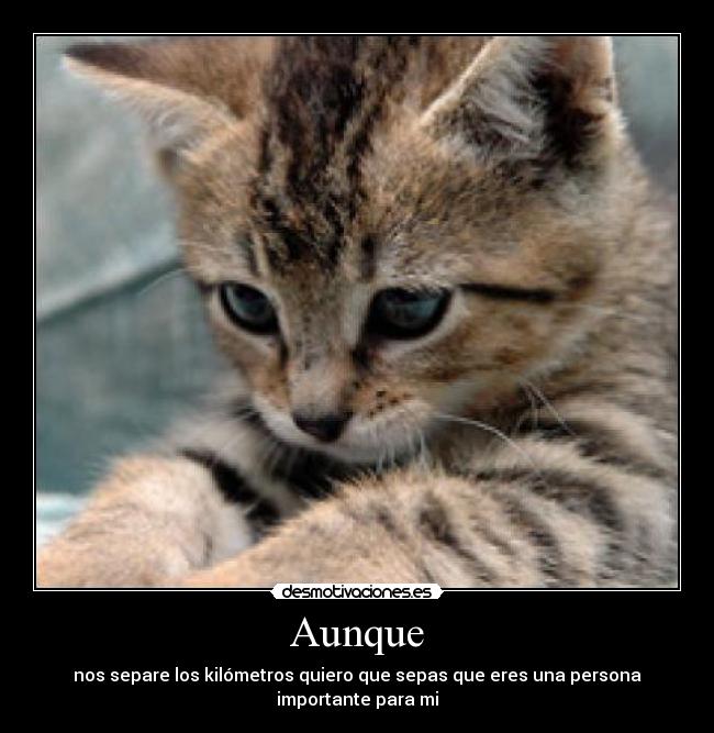 Aunque - 