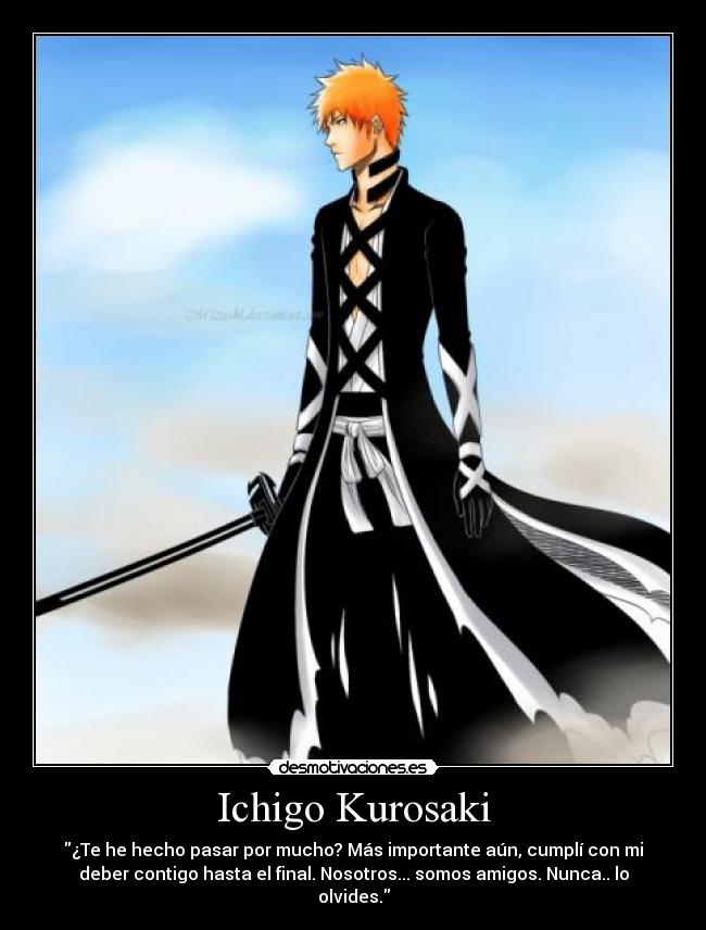 Ichigo Kurosaki - ¿Te he hecho pasar por mucho? Más importante aún, cumplí con mi
deber contigo hasta el final. Nosotros... somos amigos. Nunca.. lo
olvides.