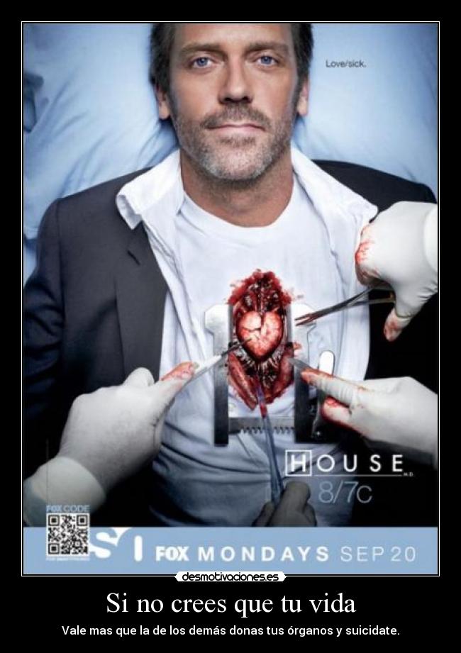 carteles vida yramesofia desmotivaciones