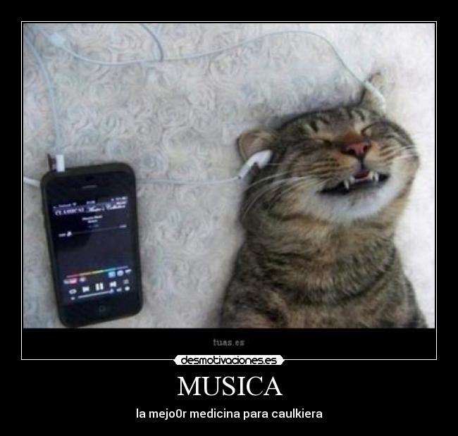 carteles musica carlos141 desmotivaciones