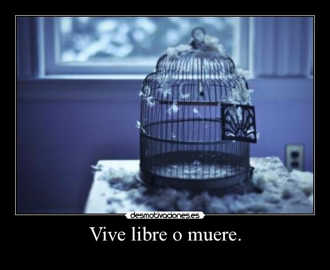 Vive libre o muere. - 