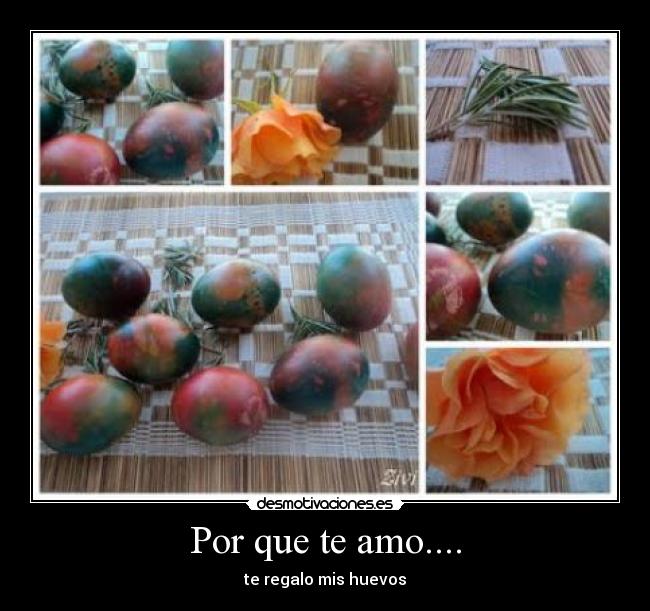 carteles por que amo desmotivaciones